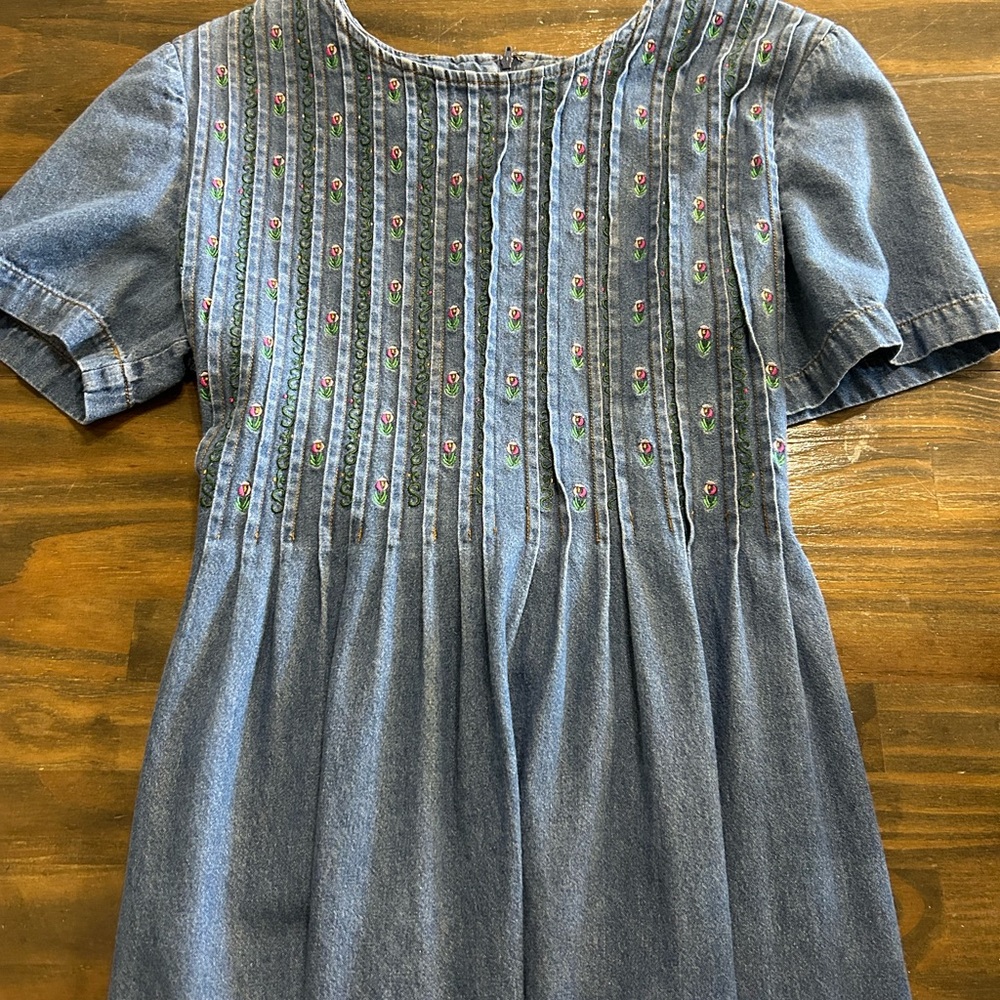 Karin Stevens Vintage Denim Embroidered Dress